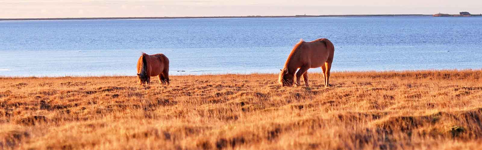 partir en islande pour un voyage de rêve